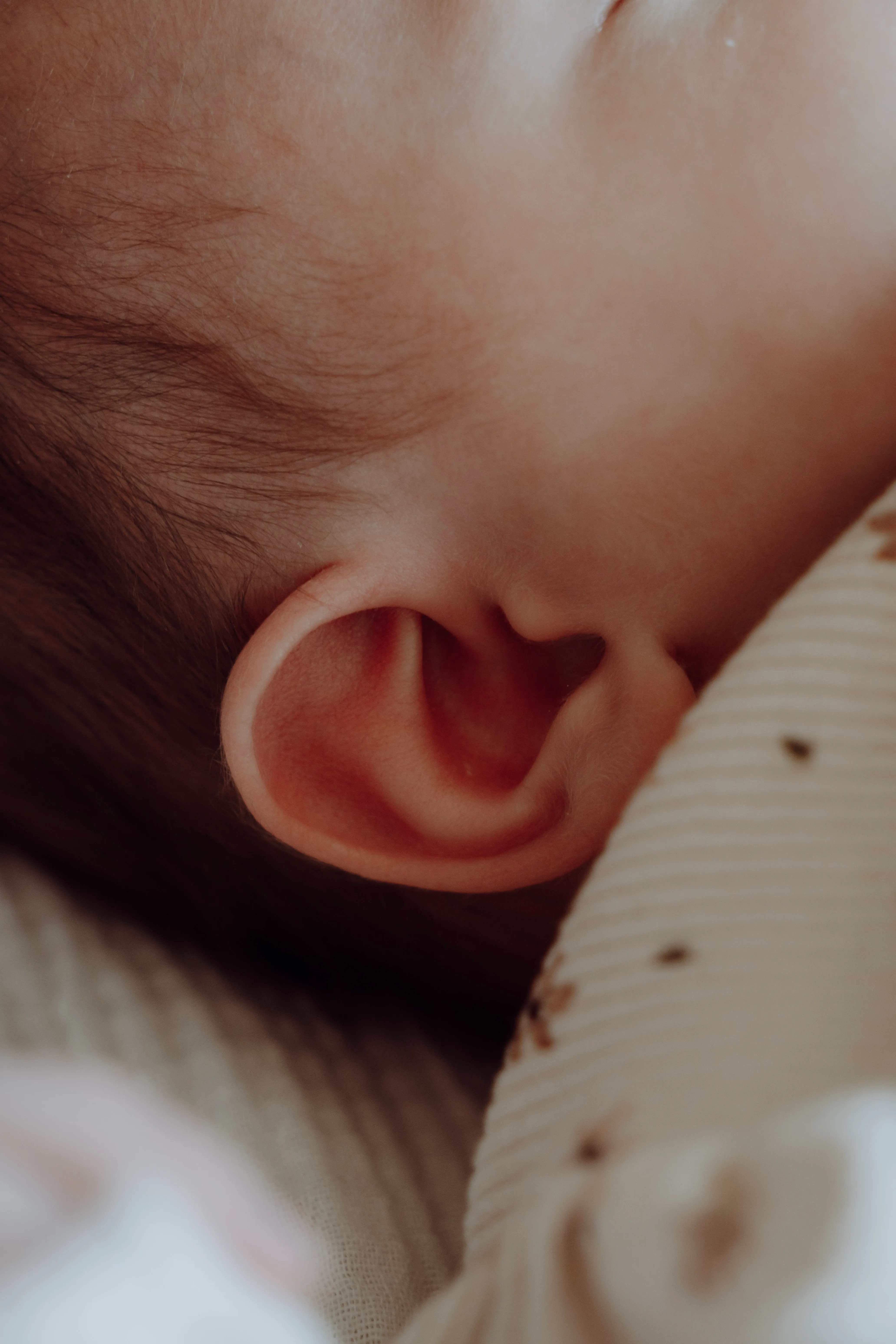 Teder familiebeeld met pasgeboren baby thuis op de bank